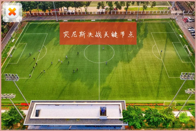 突尼斯决战关键节点