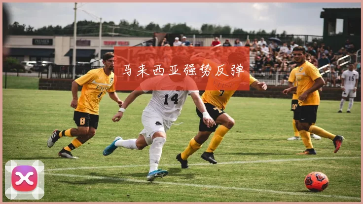 马来西亚强势反弹