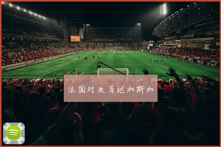 法国对决马达加斯加