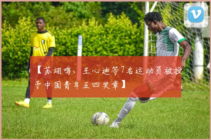 【苏翊鸣、王心迪等7名运动员被授予中国青年五四奖章】