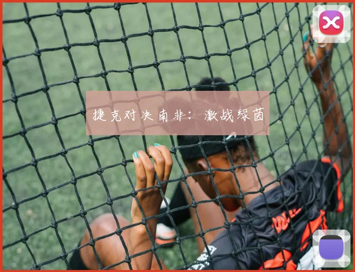 捷克对决南非：激战绿茵