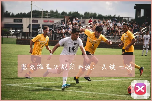 塞尔维亚决战新加坡：关键一战