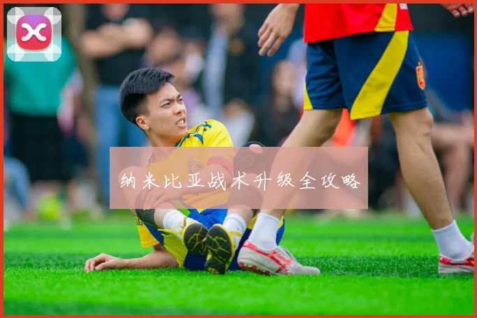 纳米比亚战术升级全攻略