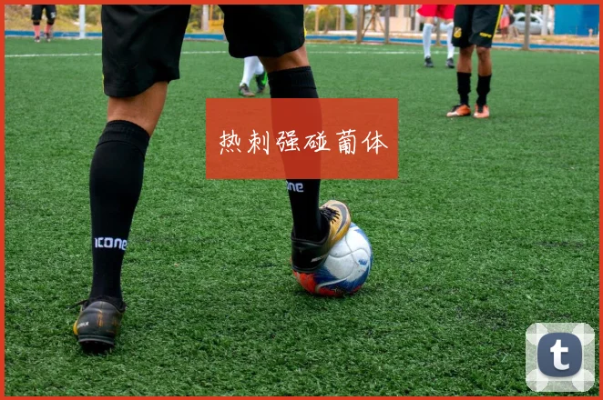 热刺强碰葡体