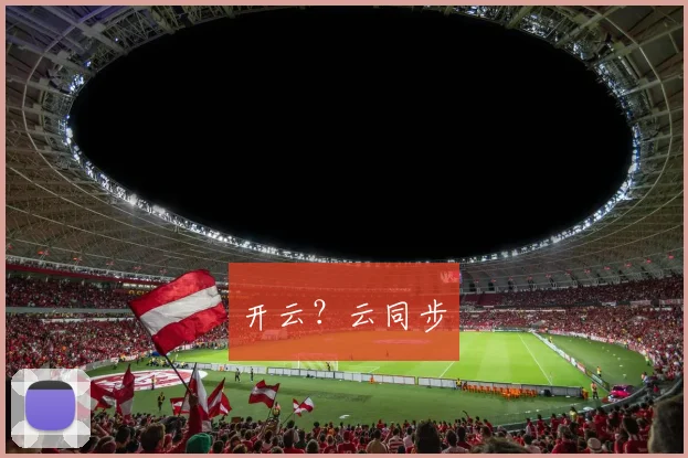 开云?云同步