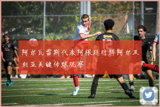 阿尔瓦雷斯代表阿根廷对阵阿尔及利亚关键传球观察