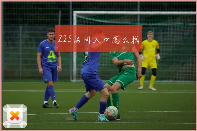 Z25访问入口怎么找