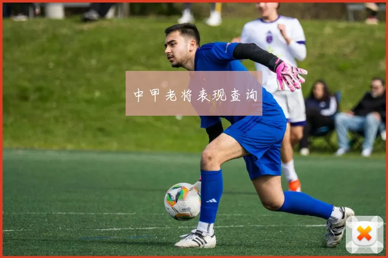 中甲老将表现查询