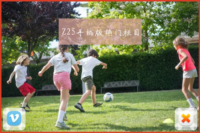 Z25手机版热门栏目
