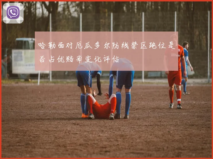 哈勒面对厄瓜多尔防线禁区跑位是否占优赔率变化评估