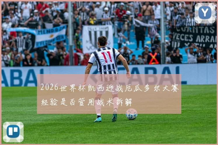 2026世界杯凯西迎战厄瓜多尔大赛经验是否管用战术拆解